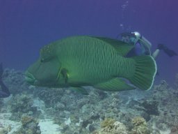 marsa_alam_200510 72